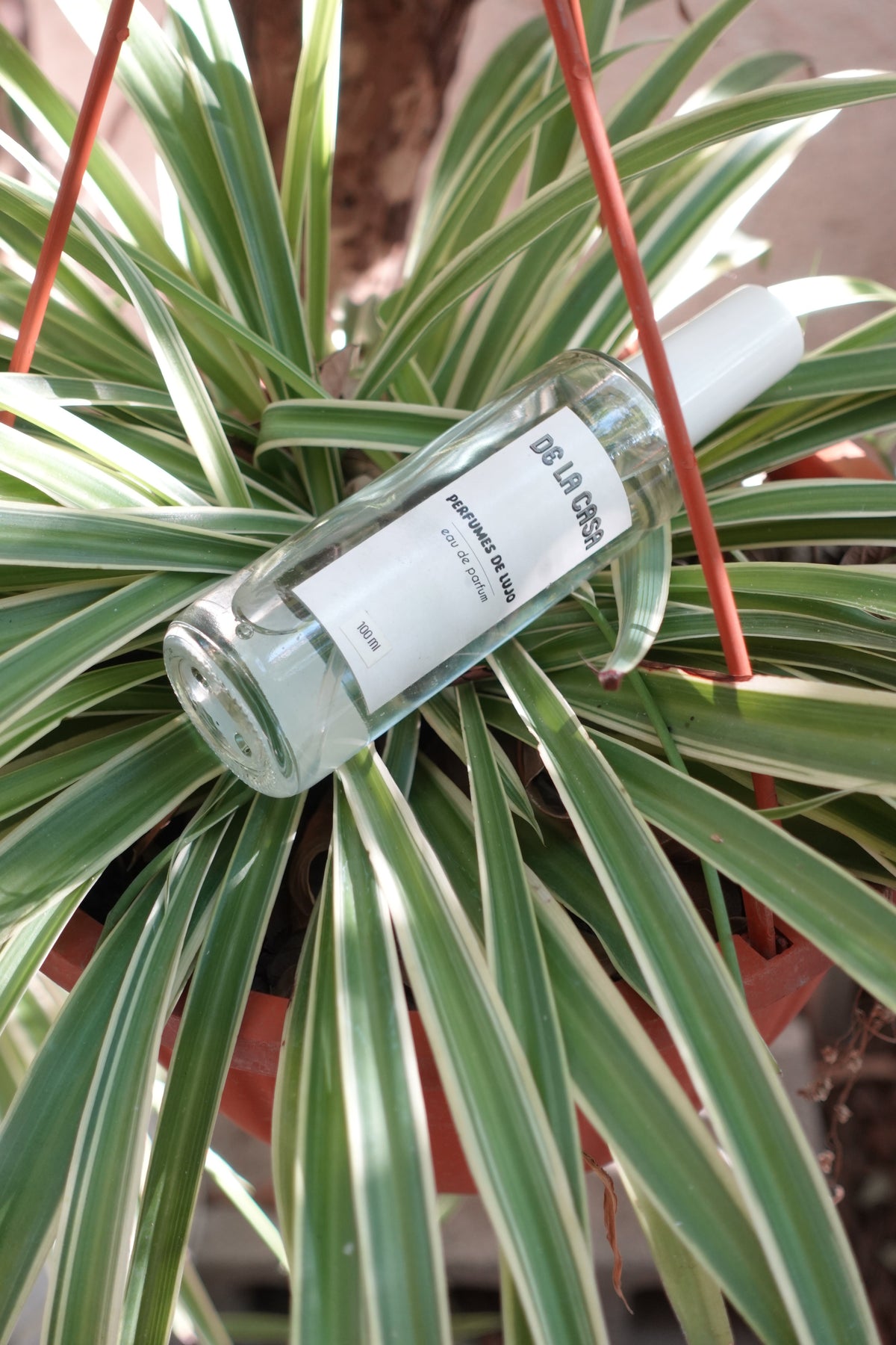 Le Labo