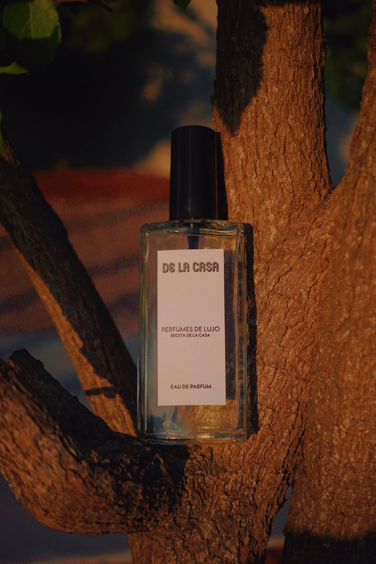 Perfumes de Caballero